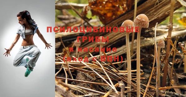 гидра Мегион