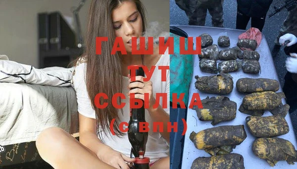 гидра Мегион