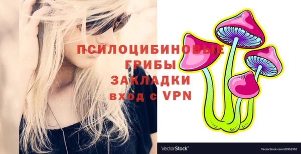 альфа пвп Медвежьегорск