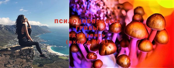 крисы Липки