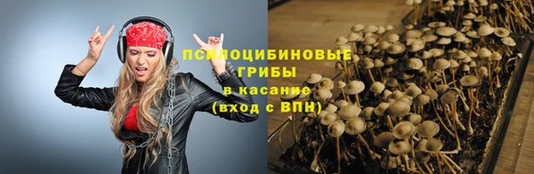 альфа пвп Медвежьегорск