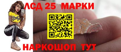 гашик Камышлов