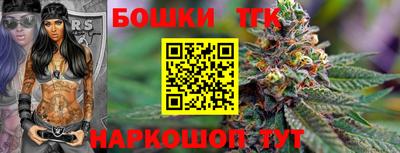 гашик Камышлов