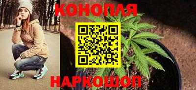гашик Камышлов