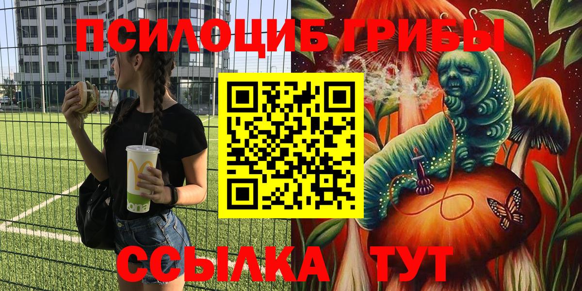 Псилоцибиновые грибы Psilocybine cubensis Канск