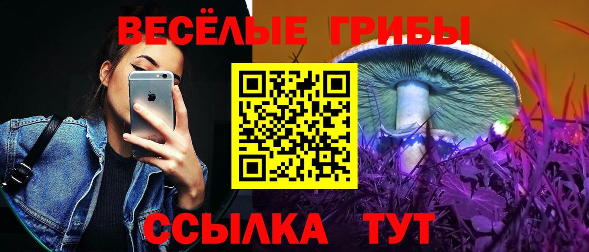 Канск  купить наркотики сайты  Вход с VPN  Галлюциногенные грибы прущие грибы  Галлюциногенные грибы Psilocybine cubensis 