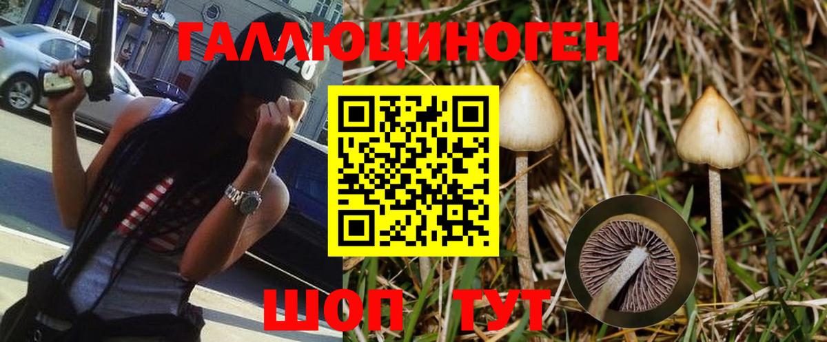 Галлюциногенные грибы Magic Shrooms  Псилоцибиновые грибы мухоморы  наркошоп  Канск 